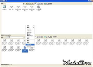 你是我的眼 巧用網絡人自動屏幕錄像與信息安全軟件開發
